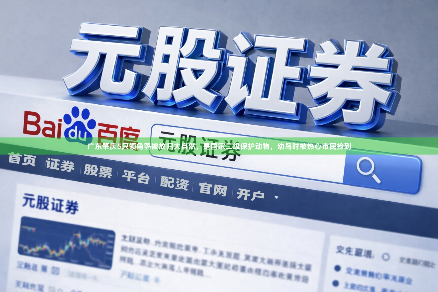 广东肇庆5只领角鸮被放归大自然，是国家二级保护动物，幼鸟时被热心市民捡到