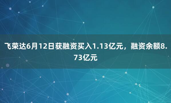 飞荣达6月12日获融资买入1.13亿元，融资余额8.73亿元