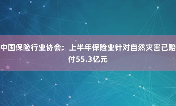 中国保险行业协会：上半年保险业针对自然灾害已赔付55.3亿元