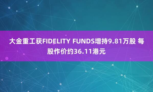 大金重工获FIDELITY FUNDS增持9.81万股 每股作价约36.11港元