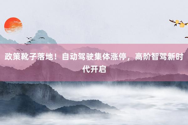 政策靴子落地！自动驾驶集体涨停，高阶智驾新时代开启