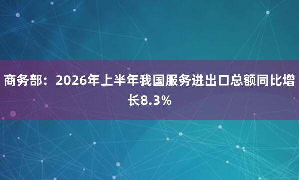 商务部：2026年上半年我国服务进出口总额同比增长8.3%