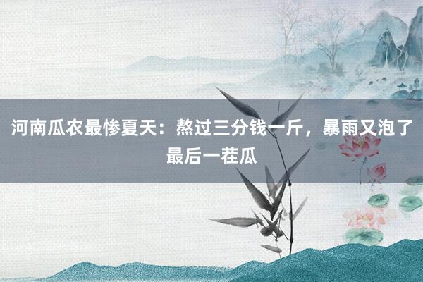 河南瓜农最惨夏天：熬过三分钱一斤，暴雨又泡了最后一茬瓜