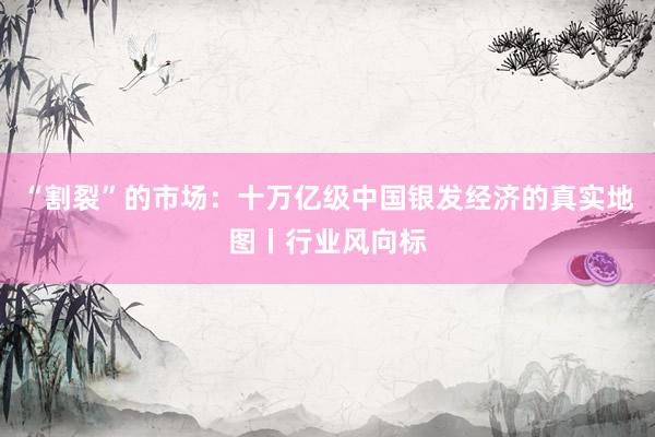 “割裂”的市场：十万亿级中国银发经济的真实地图丨行业风向标