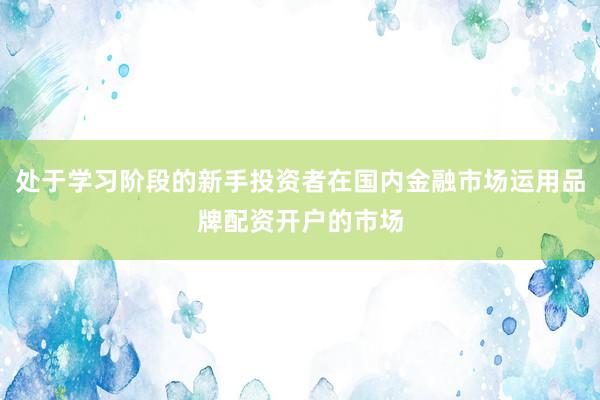 处于学习阶段的新手投资者在国内金融市场运用品牌配资开户的市场
