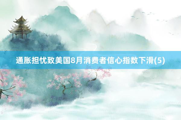 通胀担忧致美国8月消费者信心指数下滑(5)