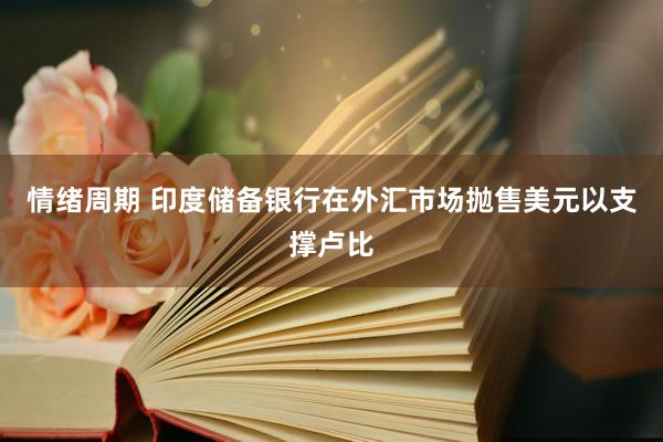 情绪周期 印度储备银行在外汇市场抛售美元以支撑卢比
