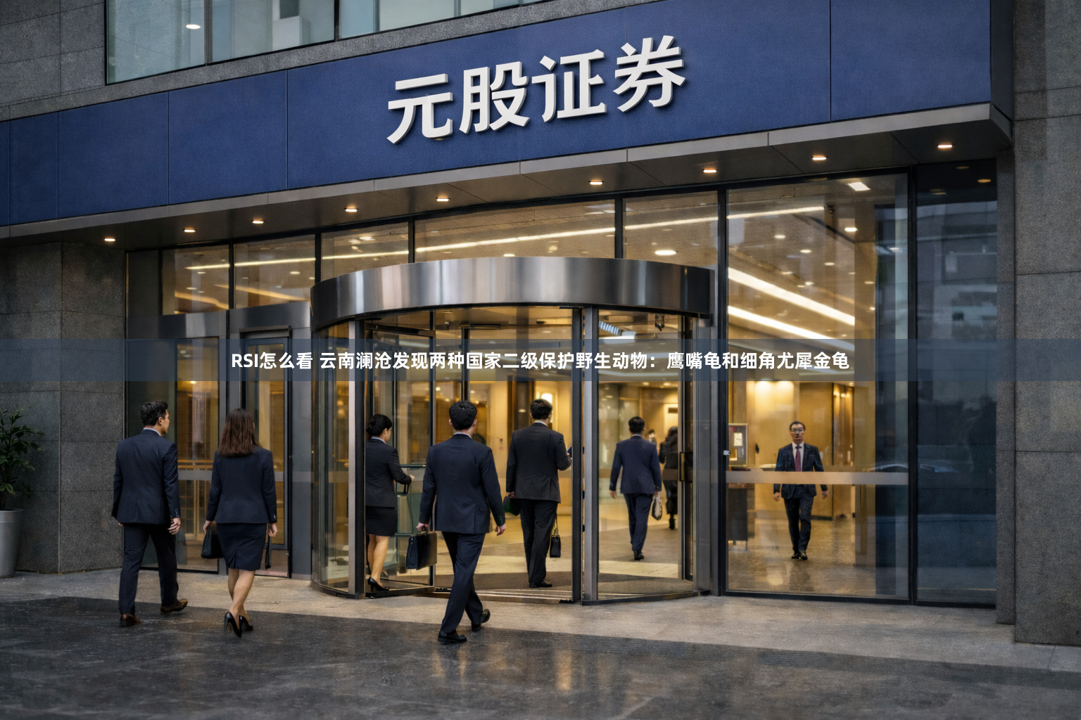 RSI怎么看 云南澜沧发现两种国家二级保护野生动物：鹰嘴龟和细角尤犀金龟